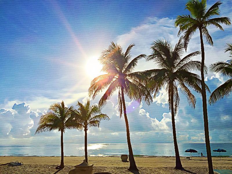 Hotel Hollywood Beach Marriott Exterior foto